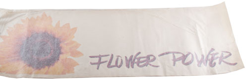 FlowerPower (Logo)